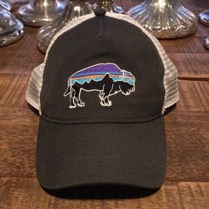 Patagonia Hat
